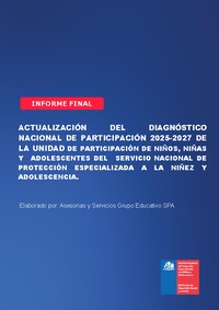Informe final diagnóstico participación