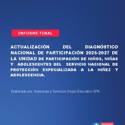 Informe final diagnóstico participación