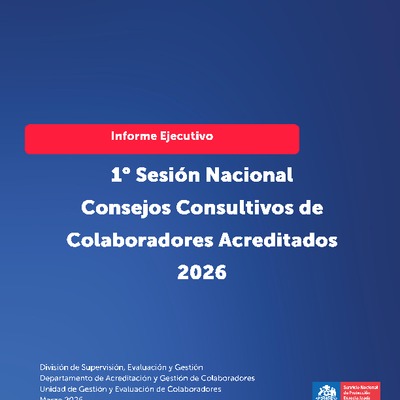 Informe Ejecutivo
