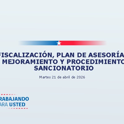 PPT Fiscalización