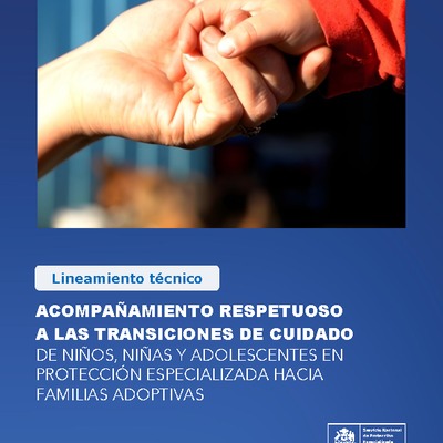 Lineamiento técnico de acompañamiento respetuoso a las transiciones de cuidado de niños, niñas y adolescentes en protección especializada hacia familias adoptivas