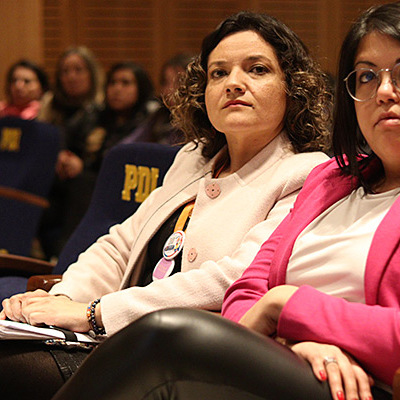 Más de 180  funcionarios de La Araucanía se capacitaron para afrontar casos de explotación sexual