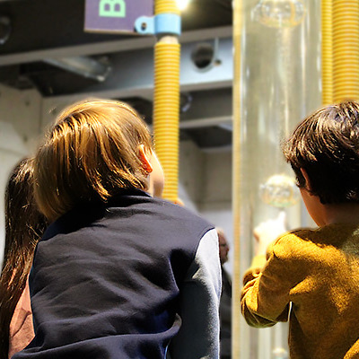 Familias de Acogida de RM podrán visitar gratis el Museo Interactivo Mirador