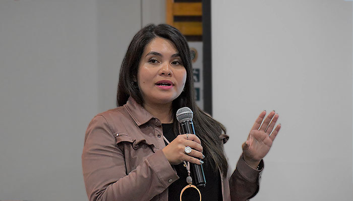 Dirección regional expuso ante el Concejo Municipal de Aysén