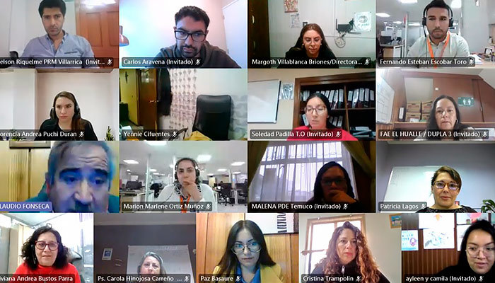 Más de 130 asistentes participaron en la reunión de lineamientos de fiscalización en La Araucanía