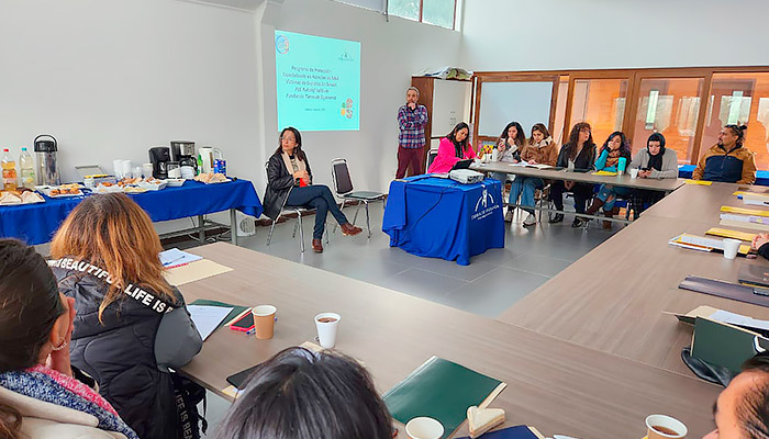 Profesionales de Los Ríos participaron de taller para la prevención de la explotación sexual en niños, niñas y adolescentes
