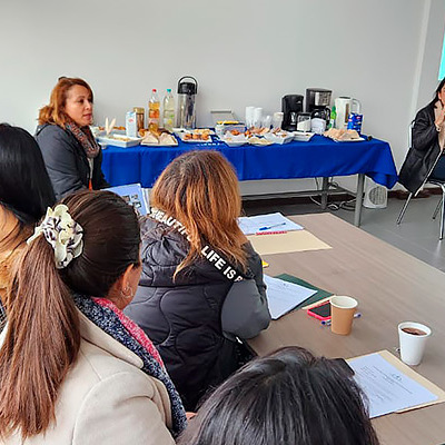 Profesionales de Los Ríos participaron de taller para la prevención de la explotación sexual en niños, niñas y adolescentes