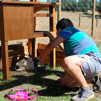 Niños de residencia familiar del Servicio Mejor Niñez de La Araucanía realizan terapia con animales