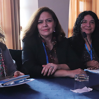 Exitosa participación del Servicio Nacional en Seminario Internacional de Adopción