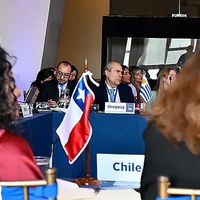 Exitosa participación del Servicio Nacional en Seminario Internacional de Adopción