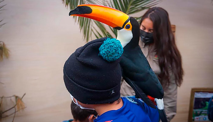 Niños y niñas de Atacama viven experiencia educativa con animales