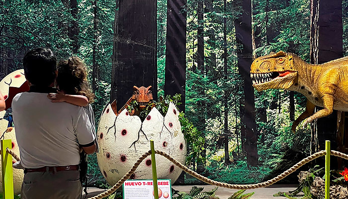 Niños, niñas y adolescentes de Coquimbo disfrutaron de Expo Dinosaurios