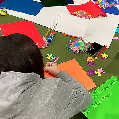 Los Lagos:  Niños, niñas y adolescentes escogieron a sus representantes para el Consejo Asesor Regional
