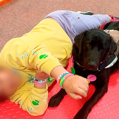 “Corazón en 4 patas” Concluye Proyecto de Terapia Canina con niños, niñas y adolescentes de residencias del Servicio Mejor Niñez