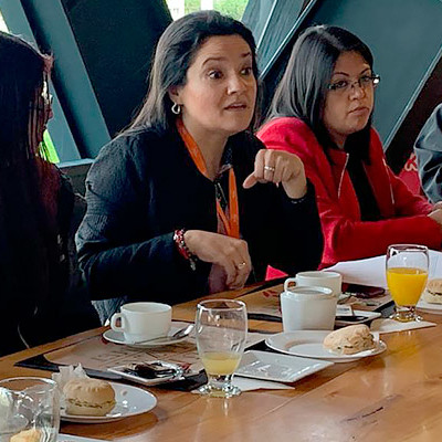 Mejor Niñez Araucanía entrega reconocimiento a estudiantes universitarios